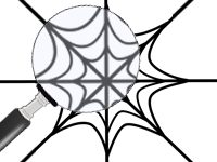 SEO: Don’t Get Caught in the Web